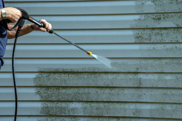 Best Fence Cleaning  in Toulon, IL