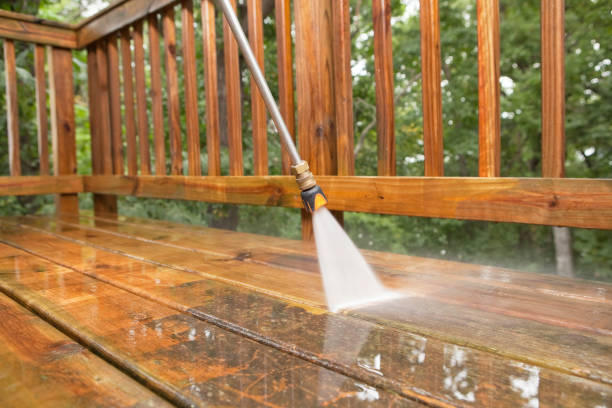 Best Animal Enclosure Cleaning  in Toulon, IL